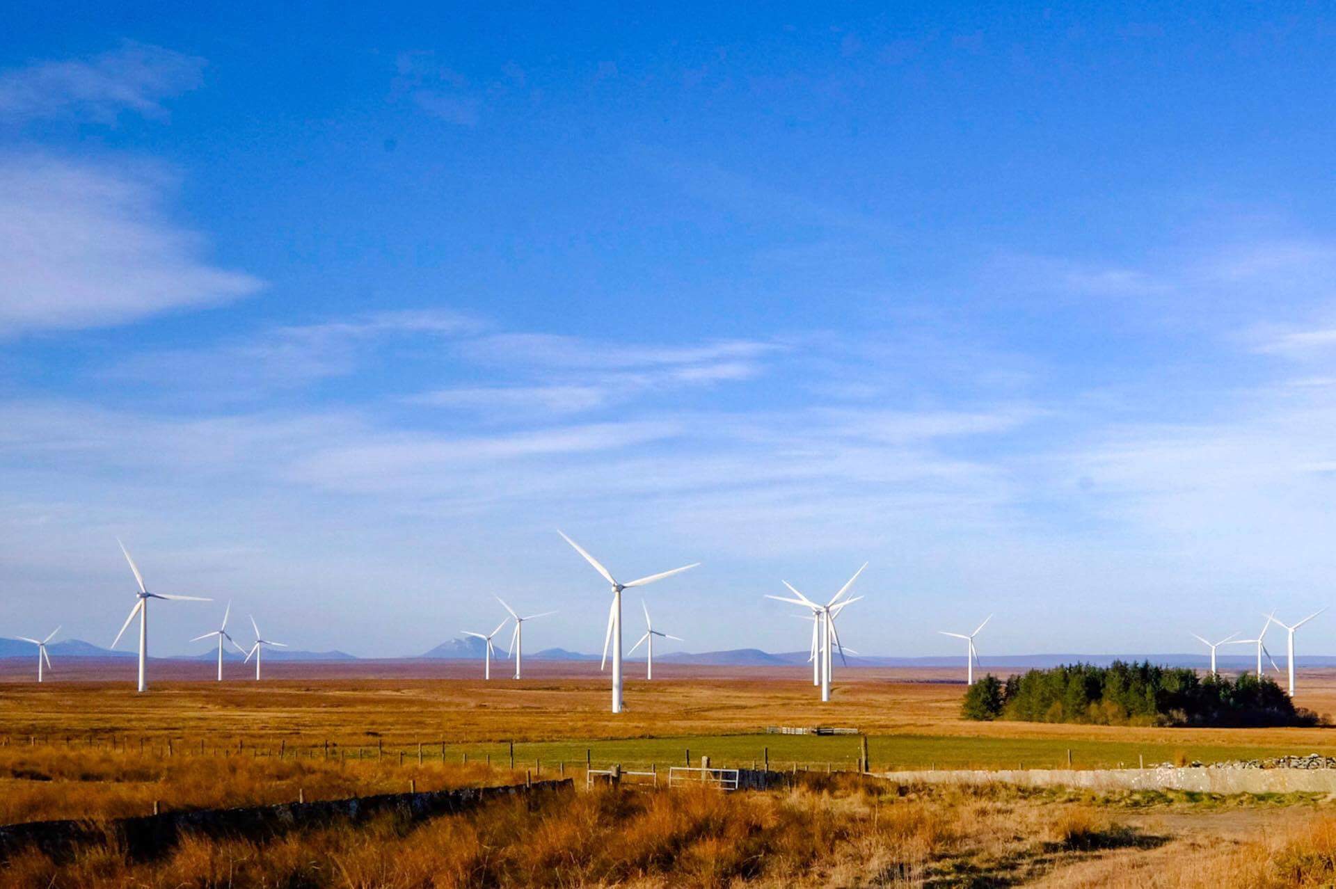 WIND farm in the caithness area