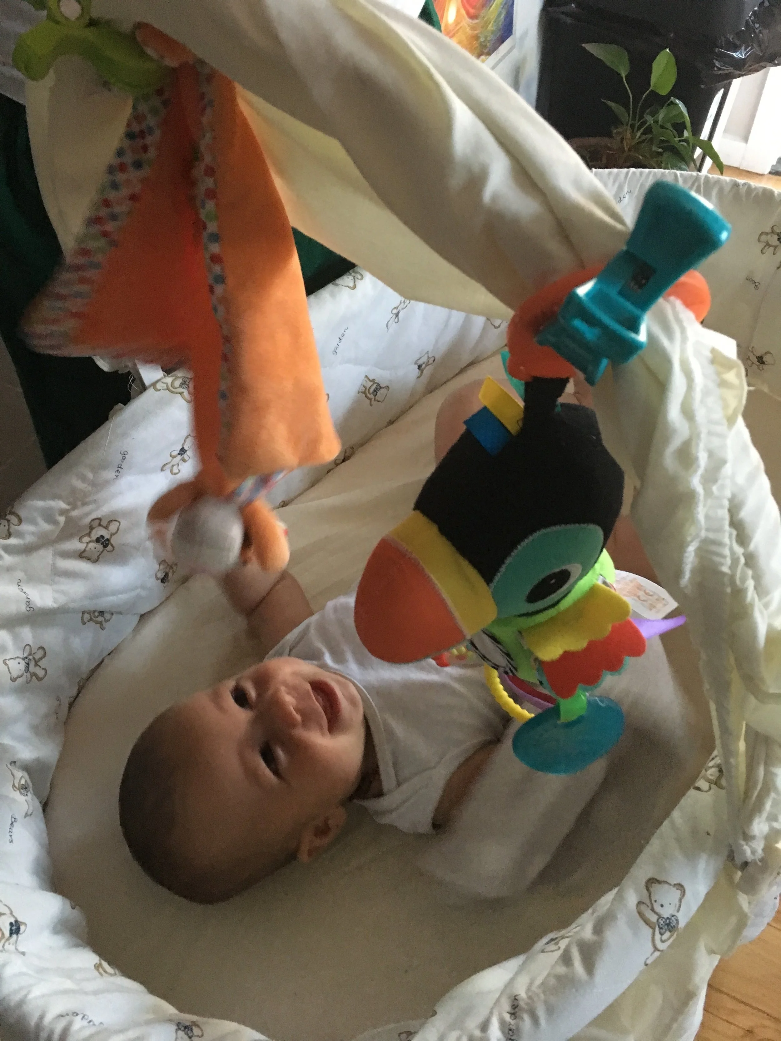 What To Buy When Your Expecting & Lots More Info You Need To Know