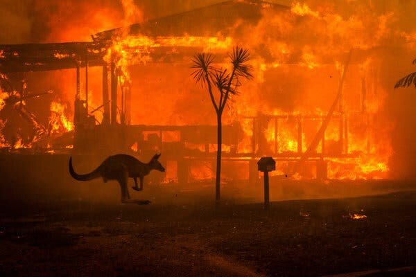 119: Stop Criticising People Who Donate To The Bush Fires - We Are In Desperate Need Of Their Money! episode artwork