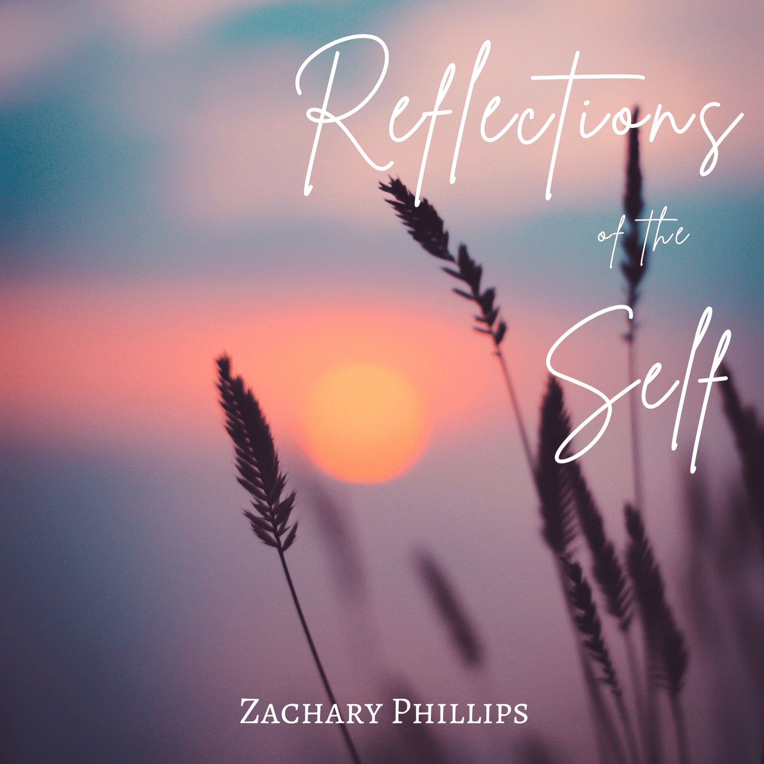172: Introducing 'Reflections of the Self; The Poetry Insights and Wisdom of Silence' episode artwork