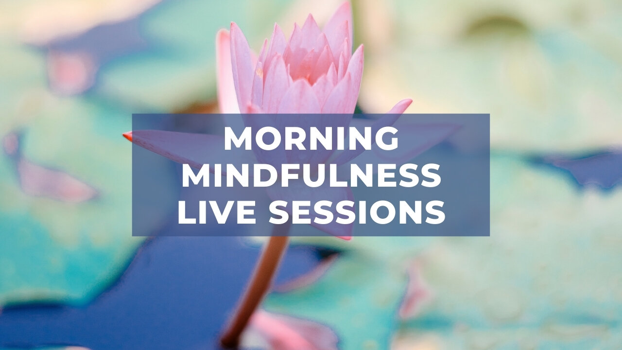 176: Why You Should Be Meditating Daily episode artwork