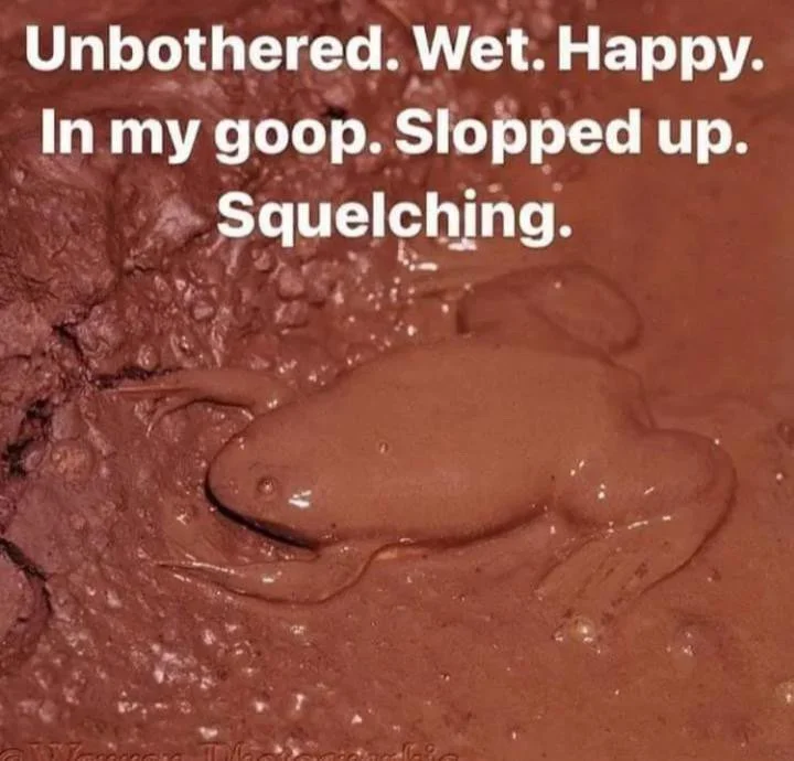 The Kinky Conversations Podcast