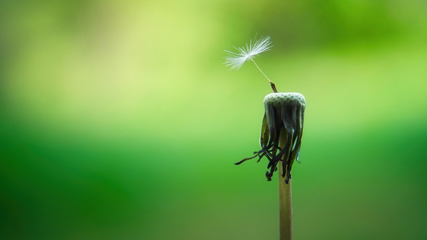 A Revolutionary Reframe Of Your Gratitude Practice - Guided Meditation | Ep 238 episode artwork