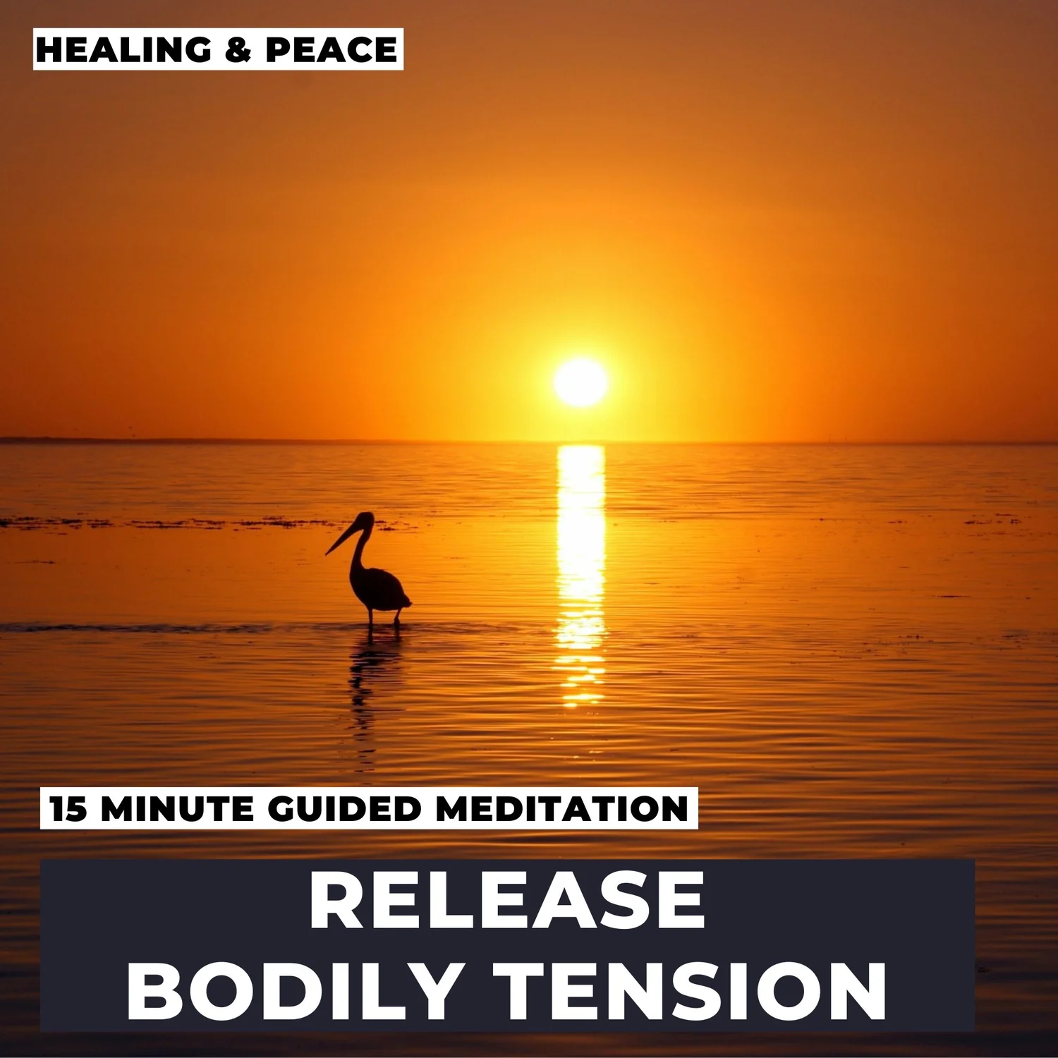 Release Bodily Tension - Guided Meditation Release Bodily Tension - Guided Meditation