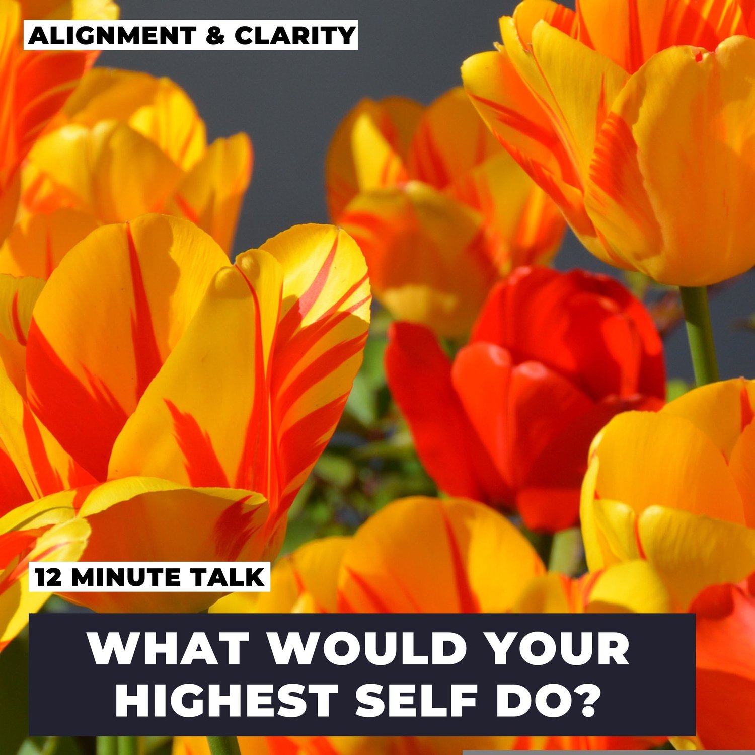 What Would Your Highest Self Do? - Wisdom Talk What Would Your Highest Self Do? - Wisdom Talk
