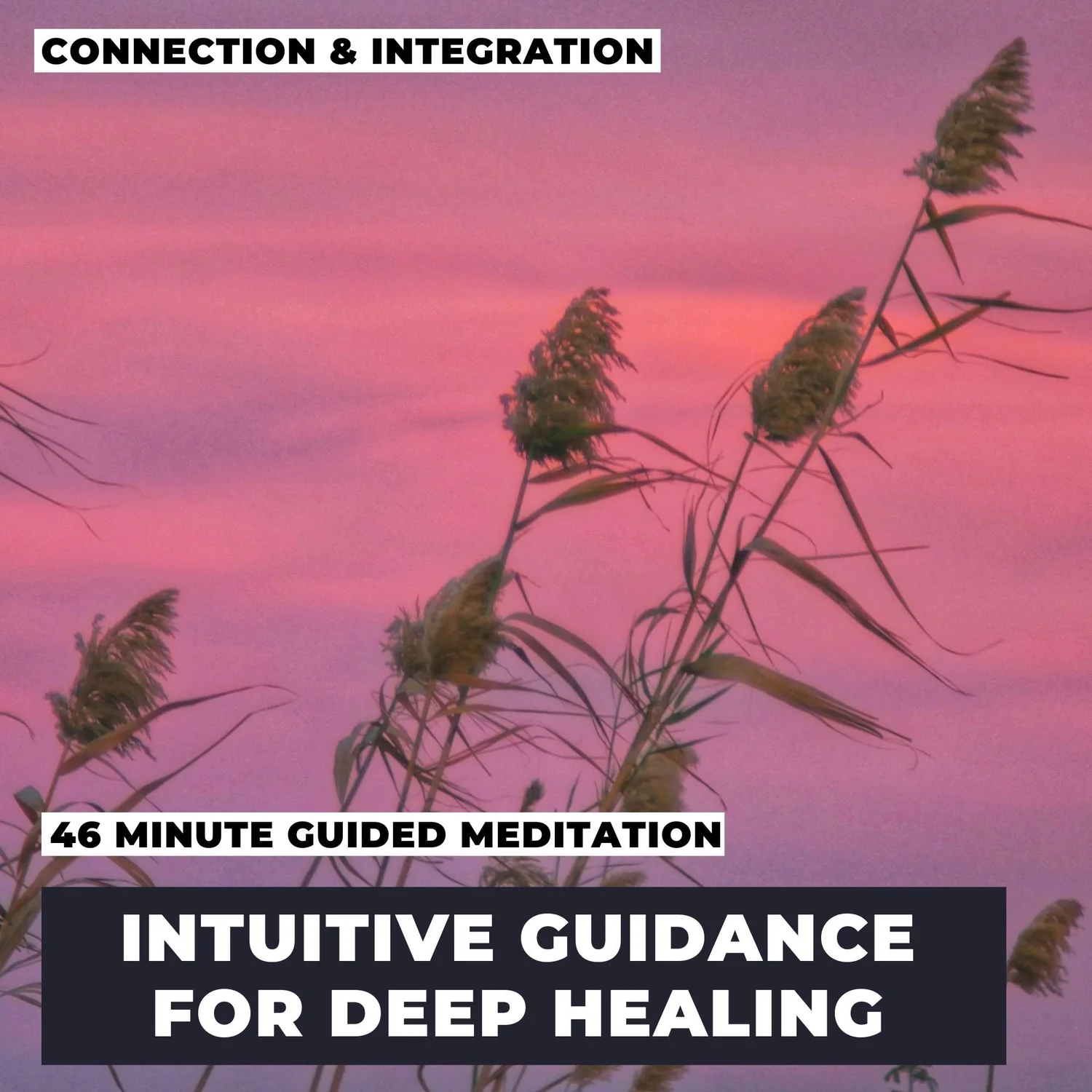 Intuitive Guidance Intuitive Guidance