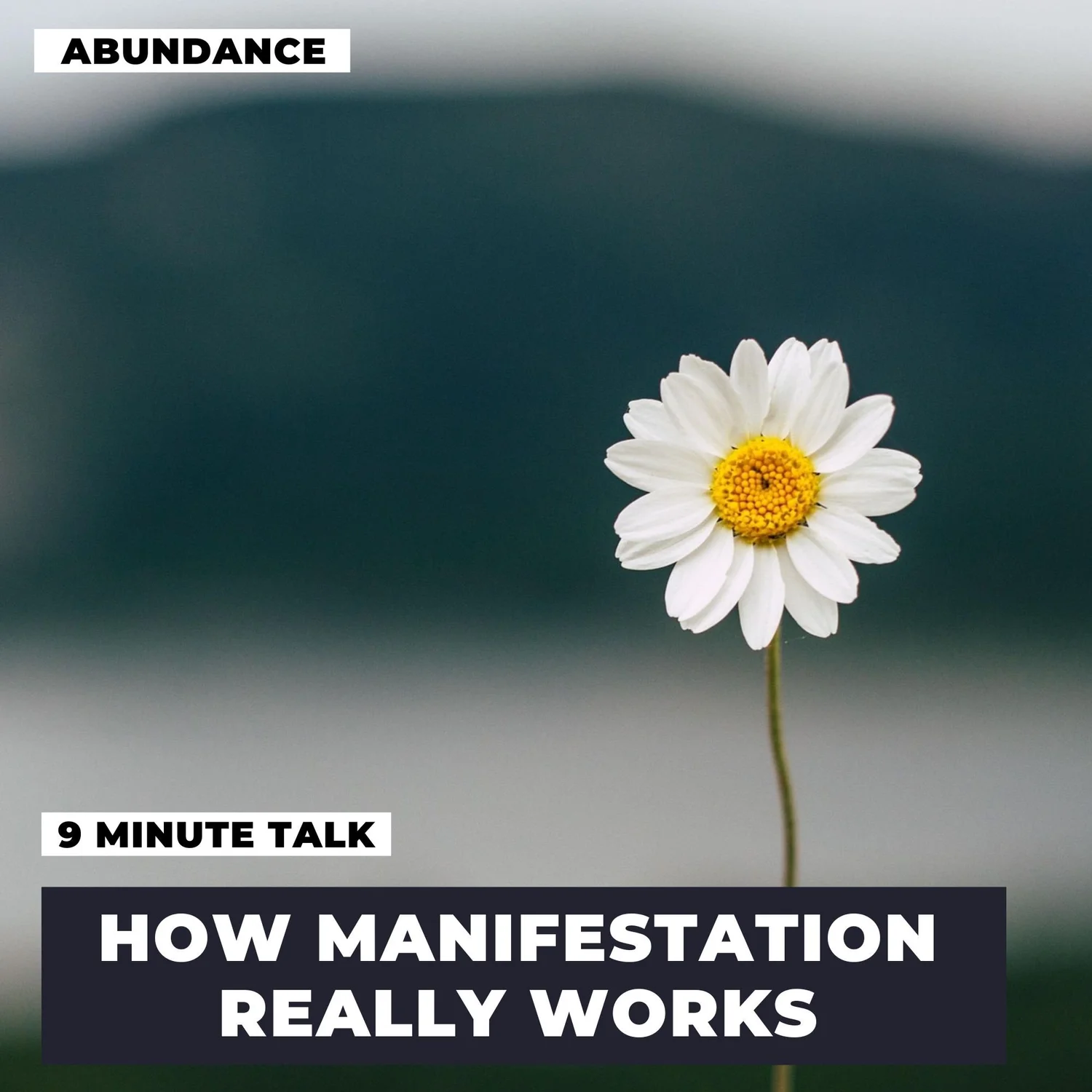 How Manifestation Really Works - Wisdom Talk How Manifestation Really Works - Wisdom Talk