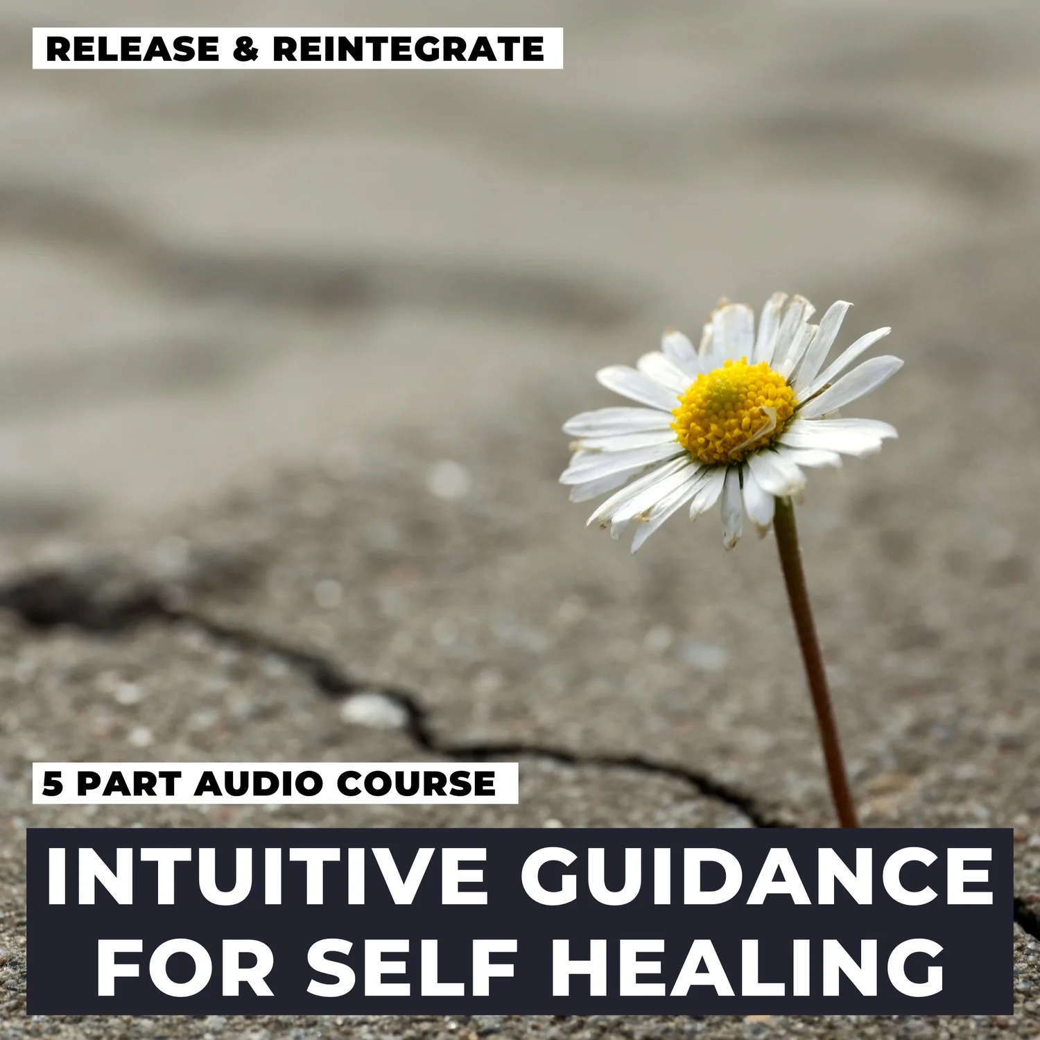 Intuitive Guidance 5-Day Course Intuitive Guidance 5-Day Course
