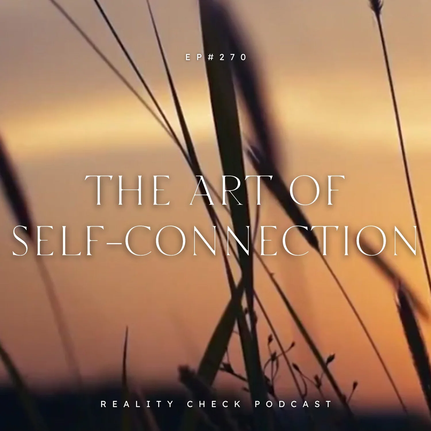 The Art Of Self-Connection | Ep 270 The Art Of Self-Connection | Ep 270