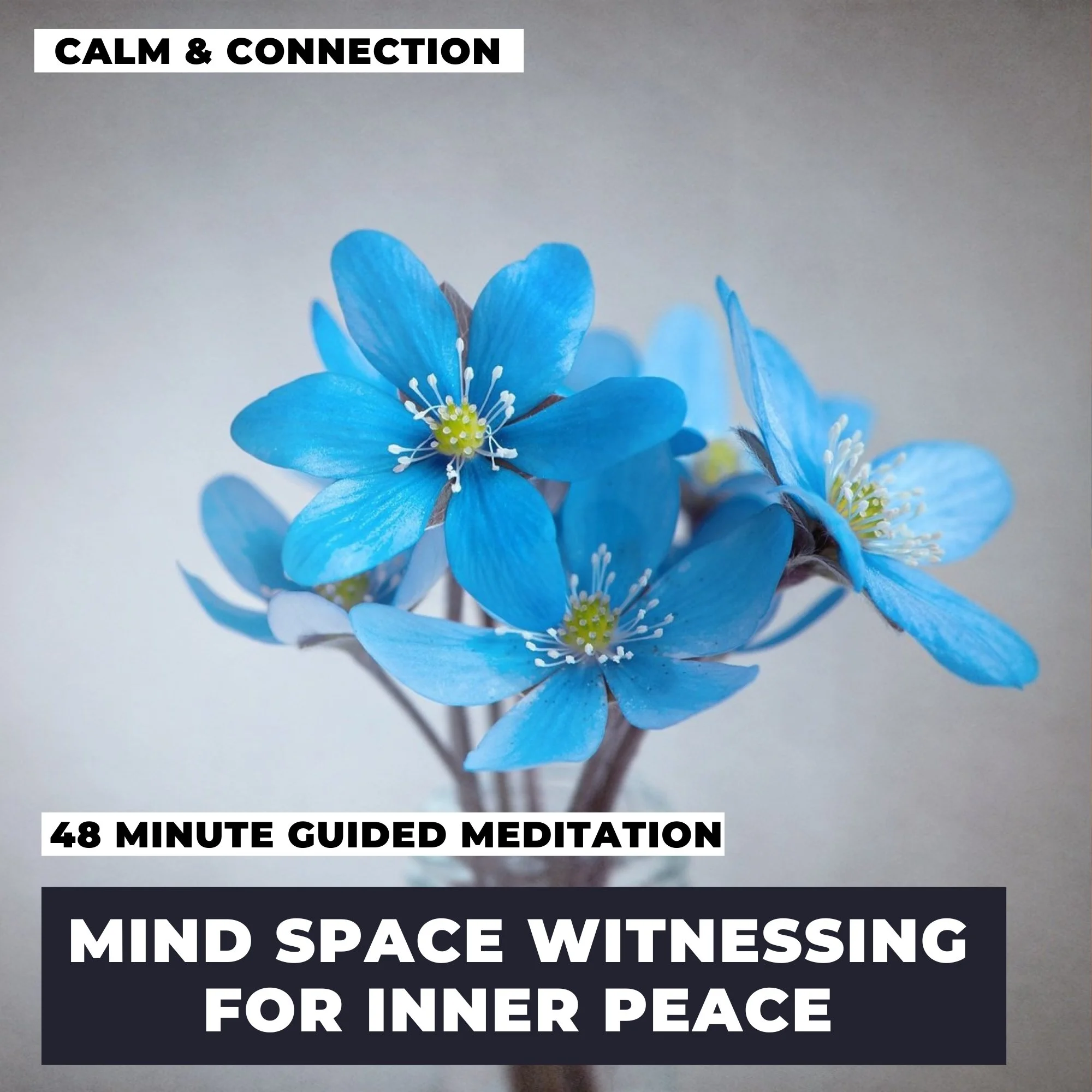 Mind Space Witnessing