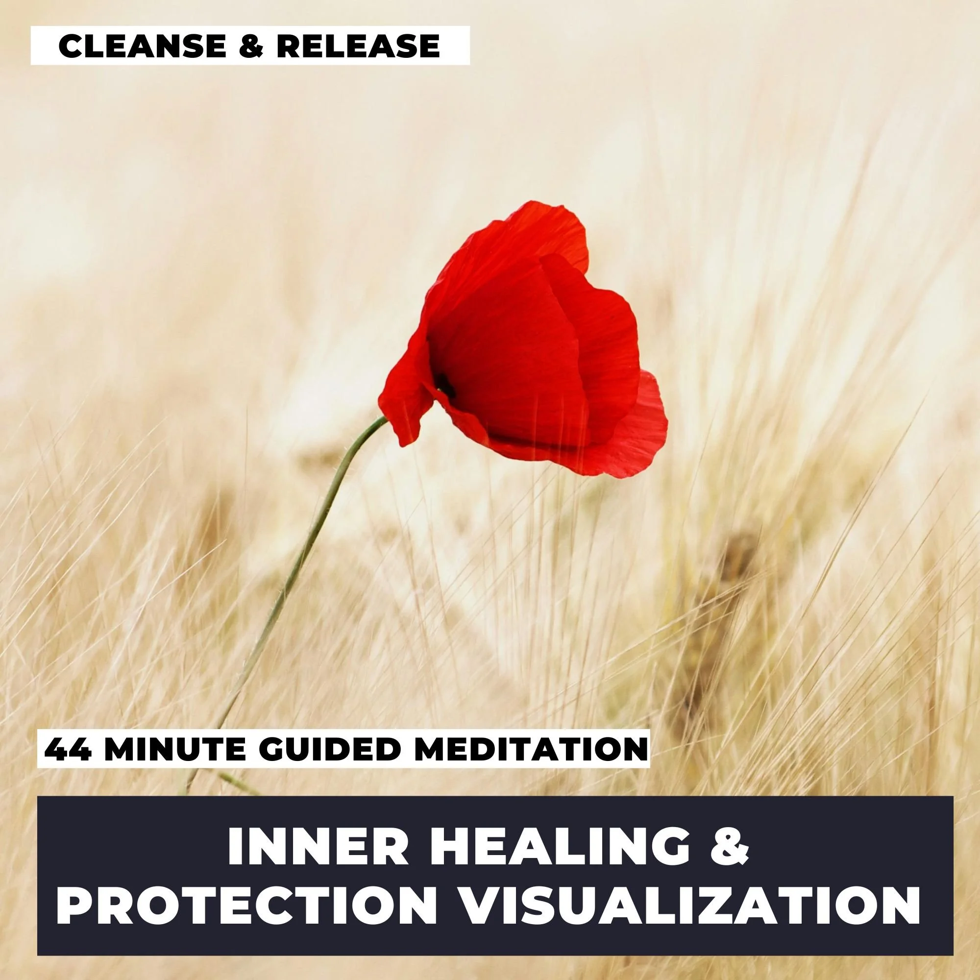 Inner Healing And Protection Visualization