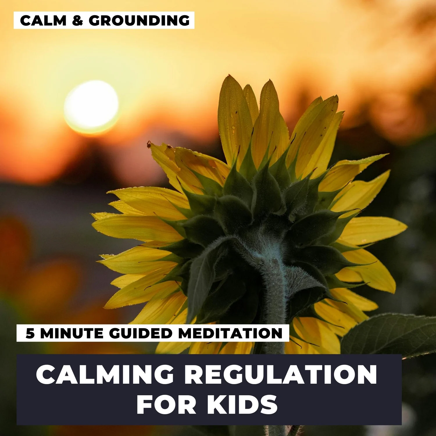 Calming Regulation For Kids Calming Regulation For Kids