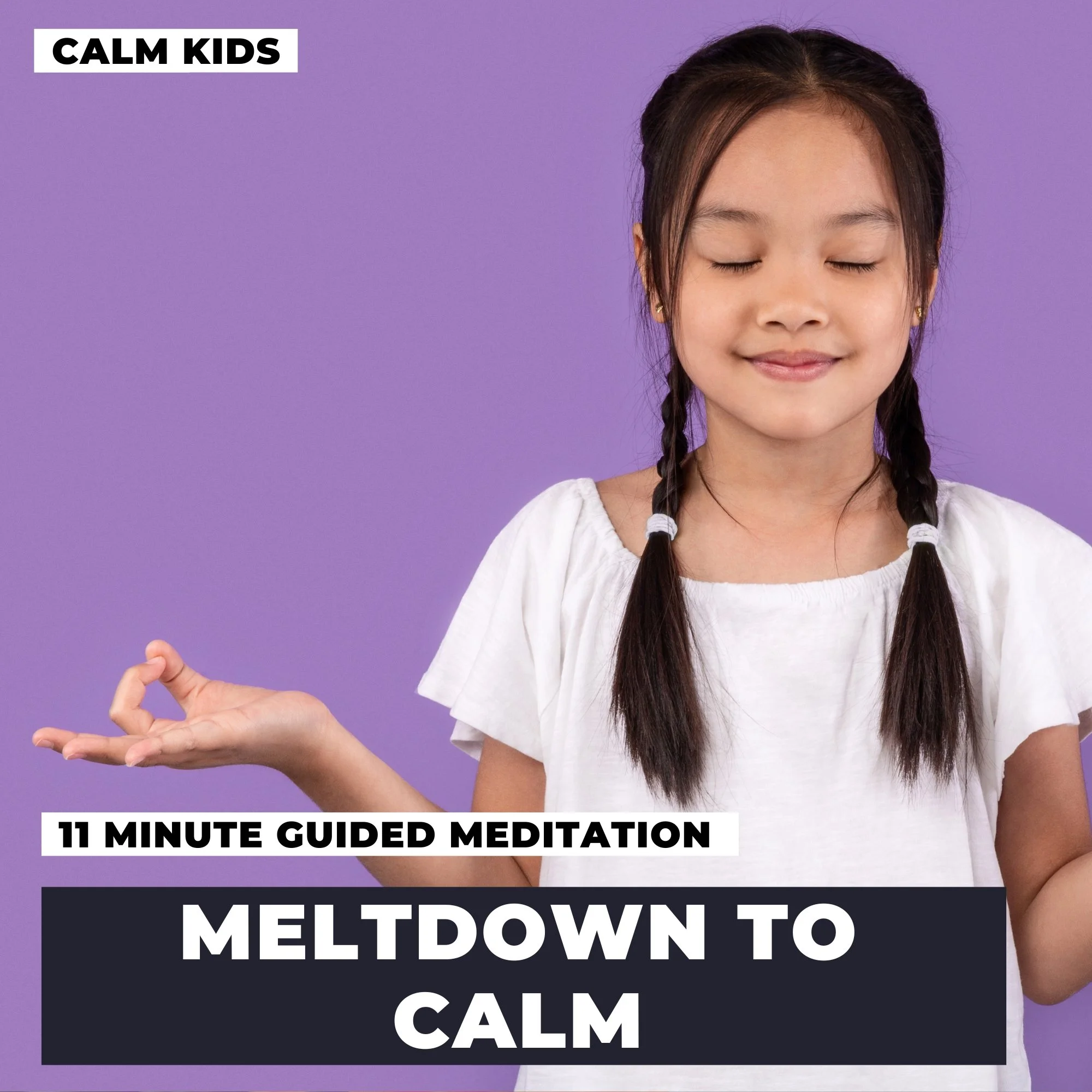 Meltdown to Calm, Help Your Child Regulate