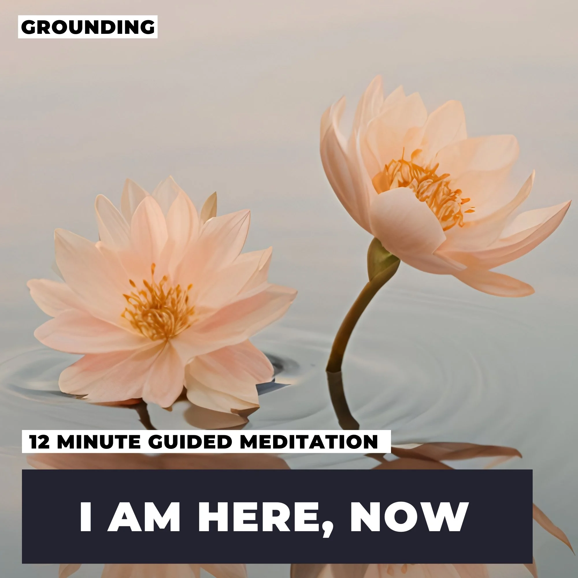 “I Am Here, Now” (Stop Being Triggered)