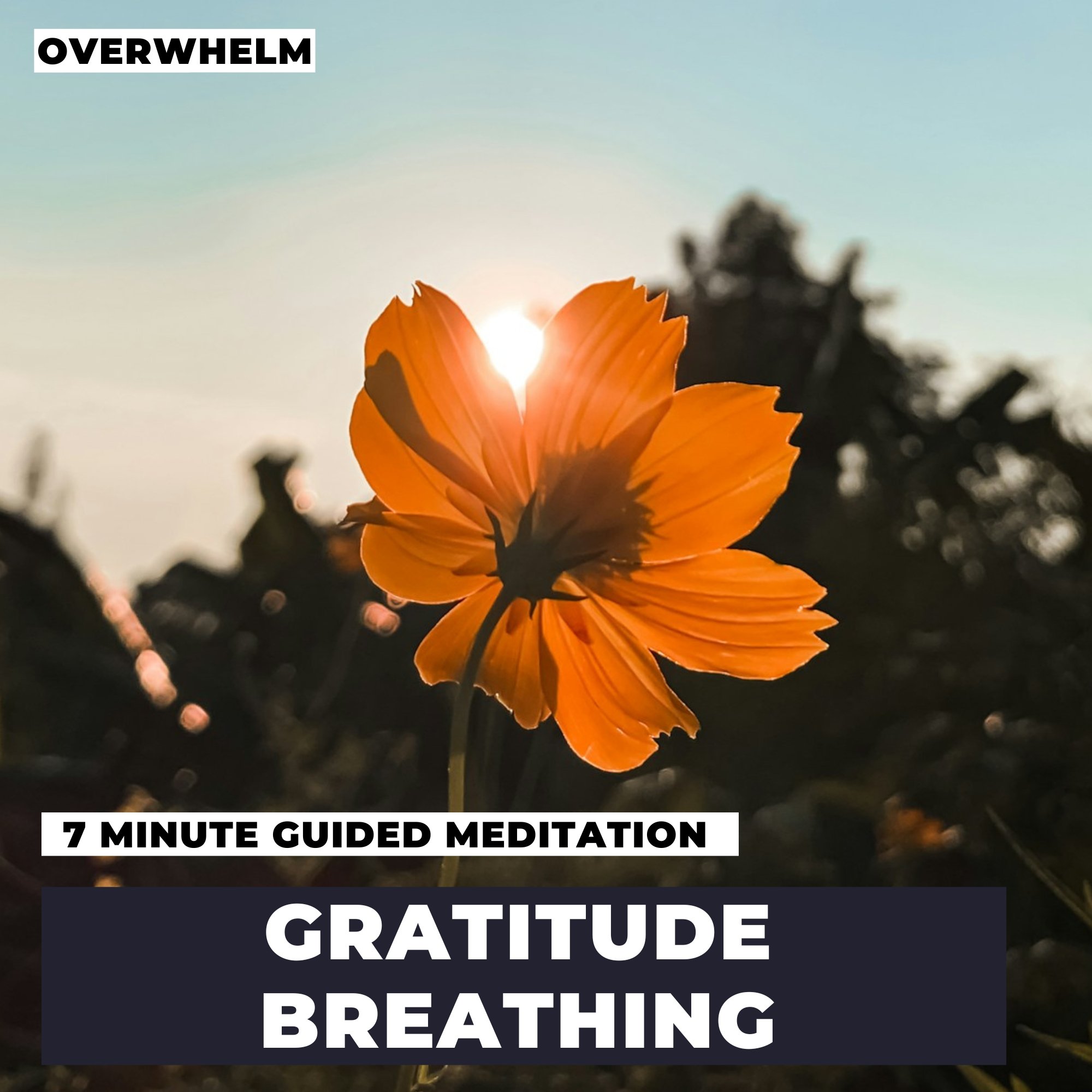 Gratitude Breathing For Immediate Relief