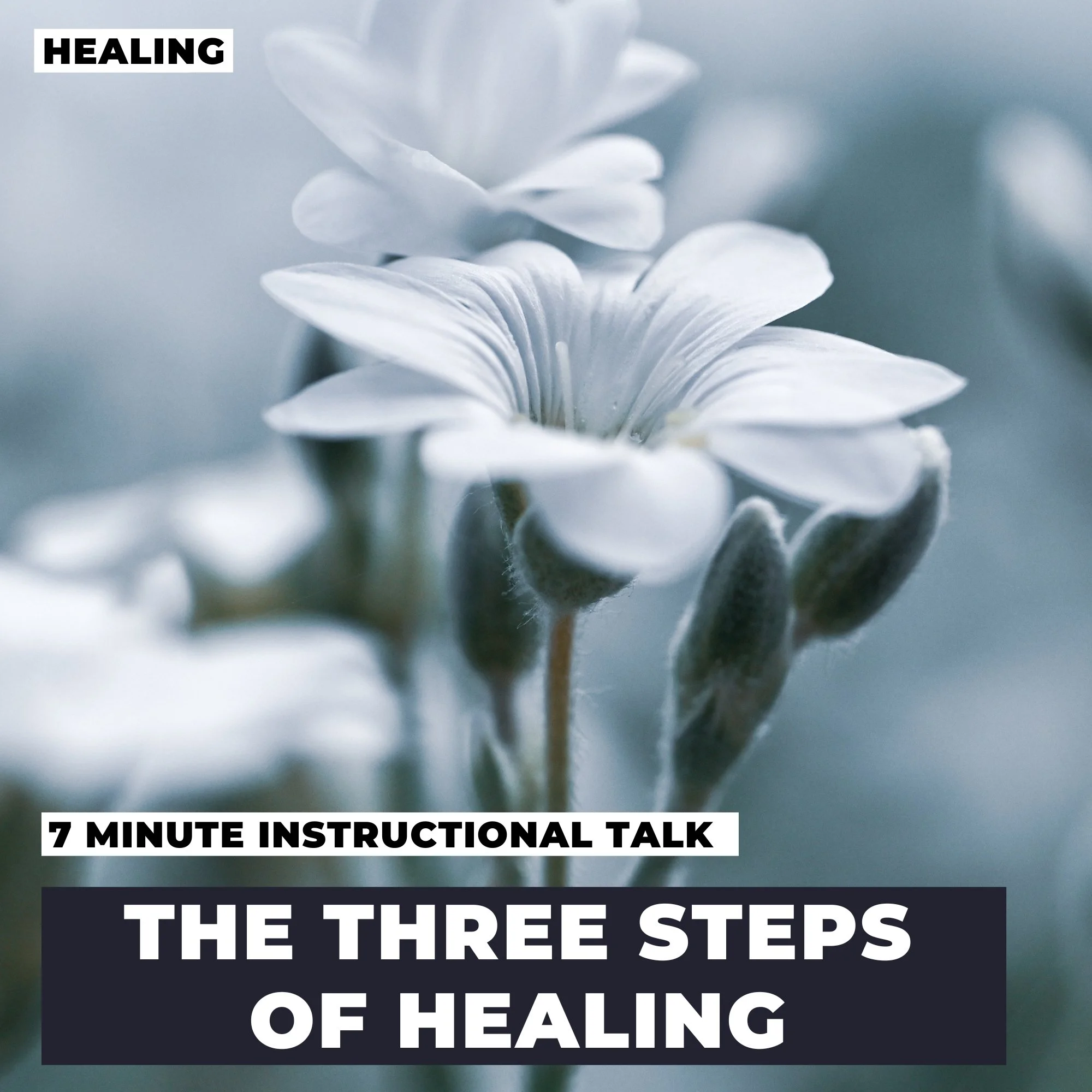 Awareness, Acceptance, Action - The Principles Of  Healing