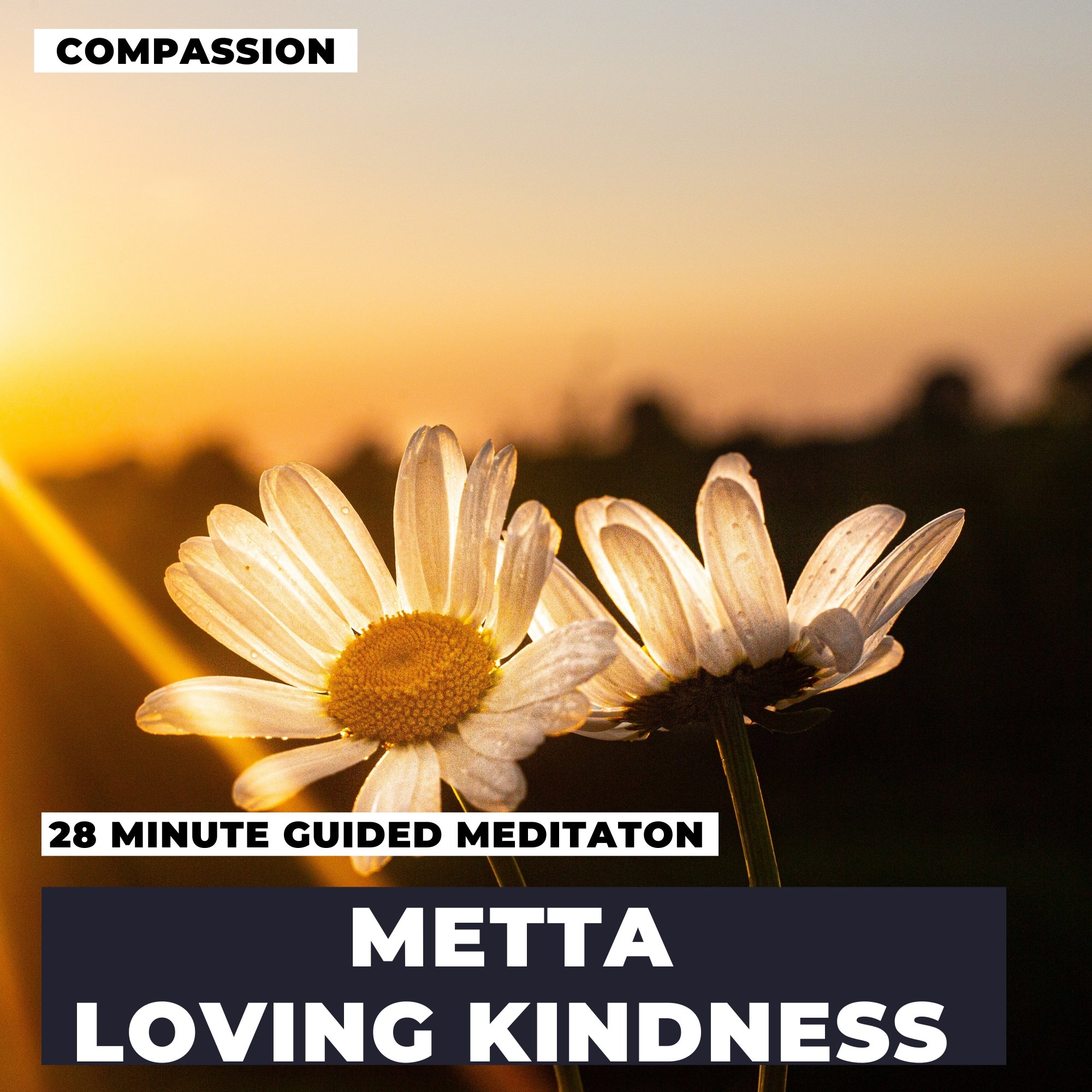 Metta Loving Kindness Meditation