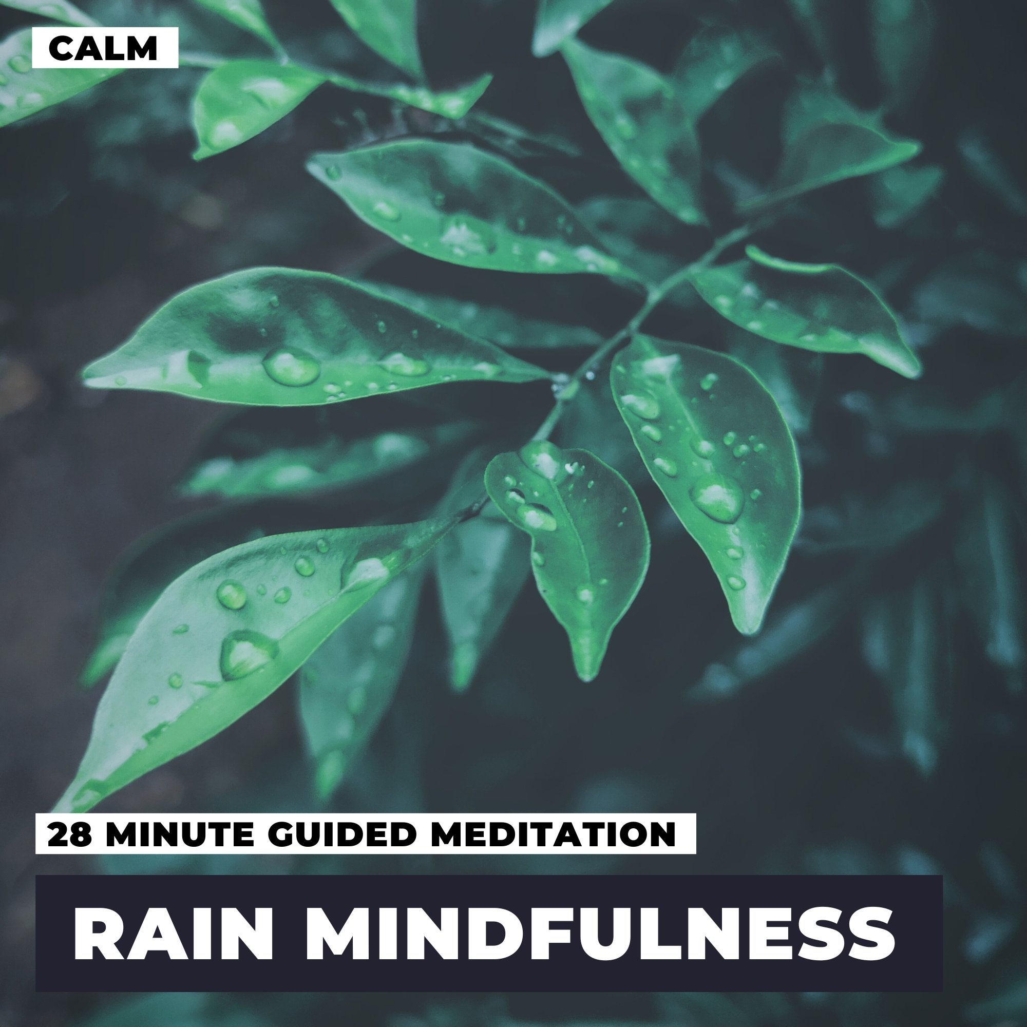 RAIN Mindfulness Meditation