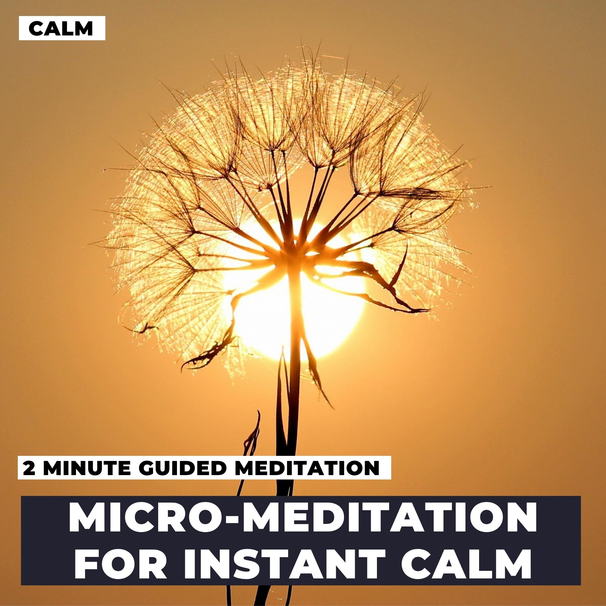 Micro-Meditation For Instant Calm