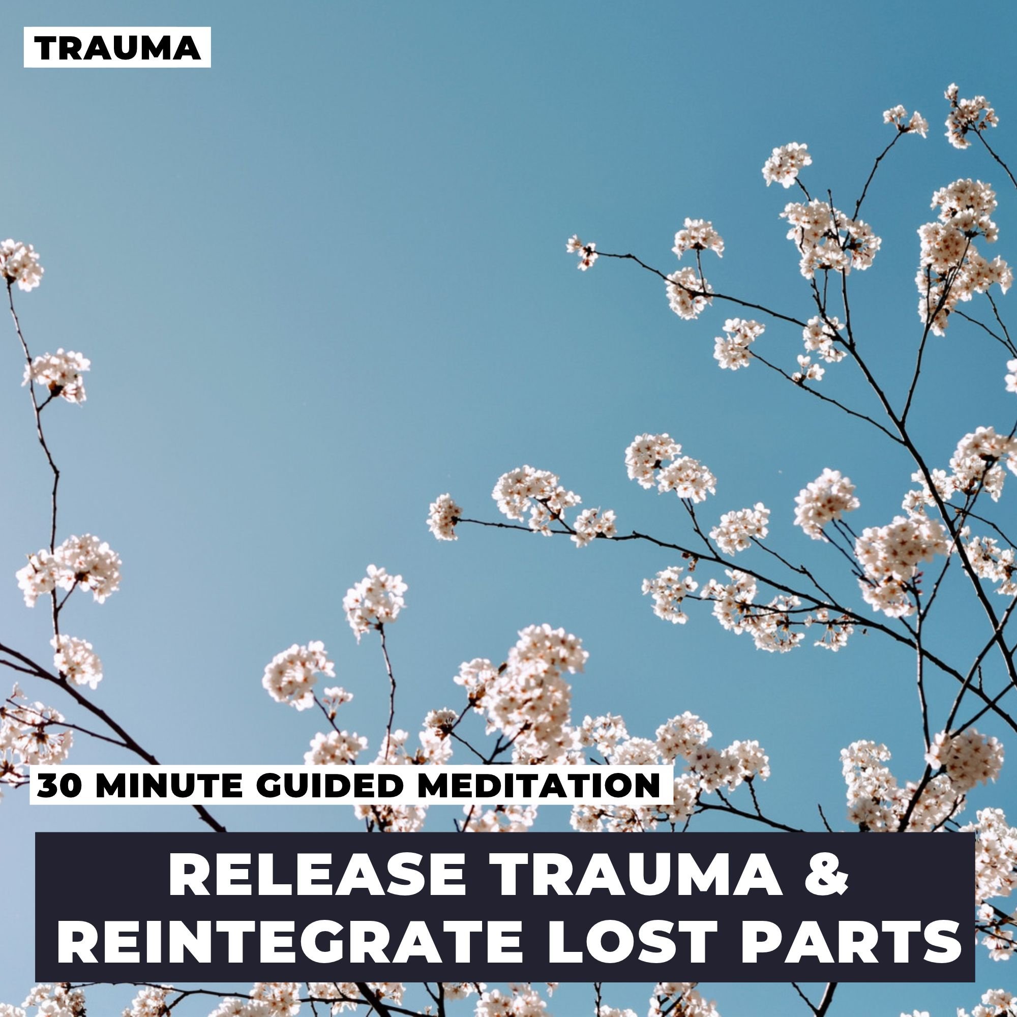 Heal Trauma With Intuitive Guidance