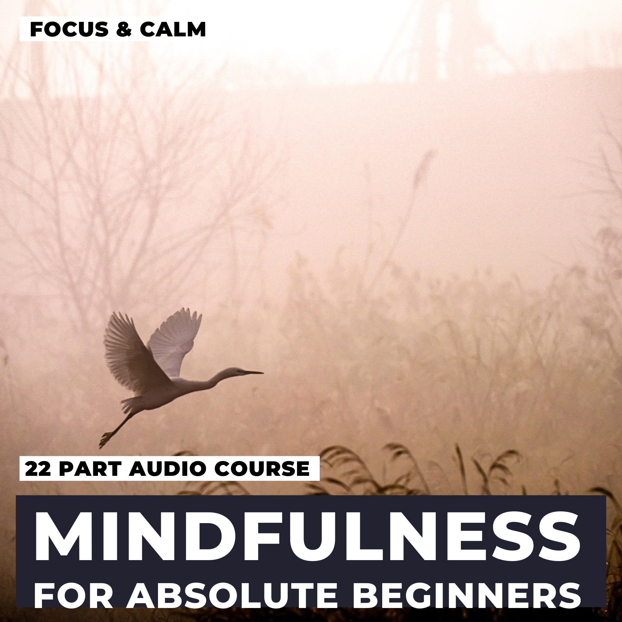 Cover of a mindfulness audio course titled 'Focus & Calm' with a background of trees and two birds flying.