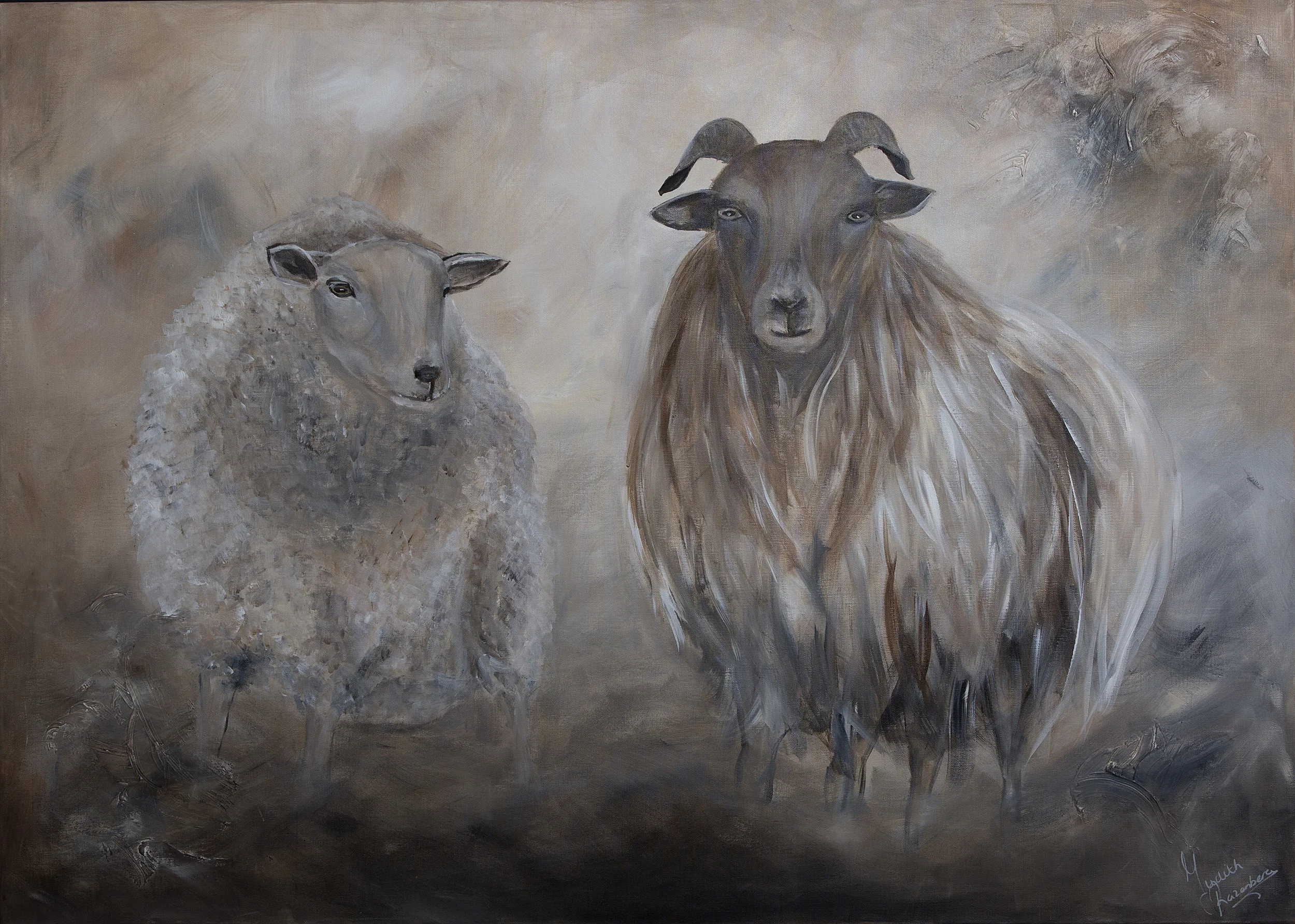 schapen zonder kader (2).jpg