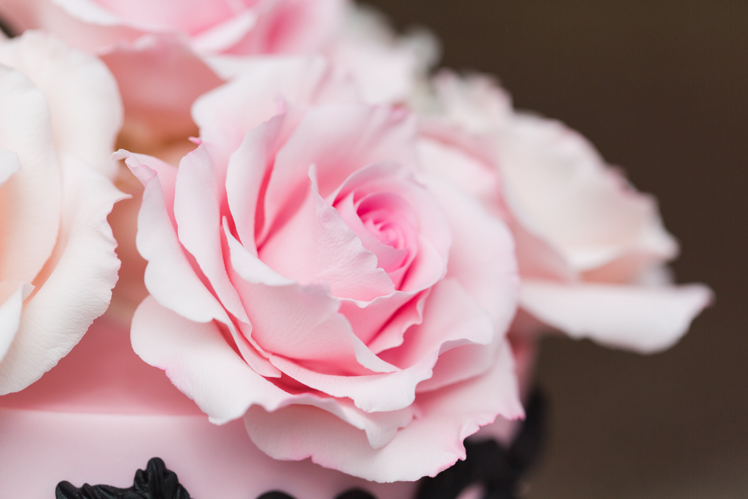 Cakes and Sweets-0100.jpg