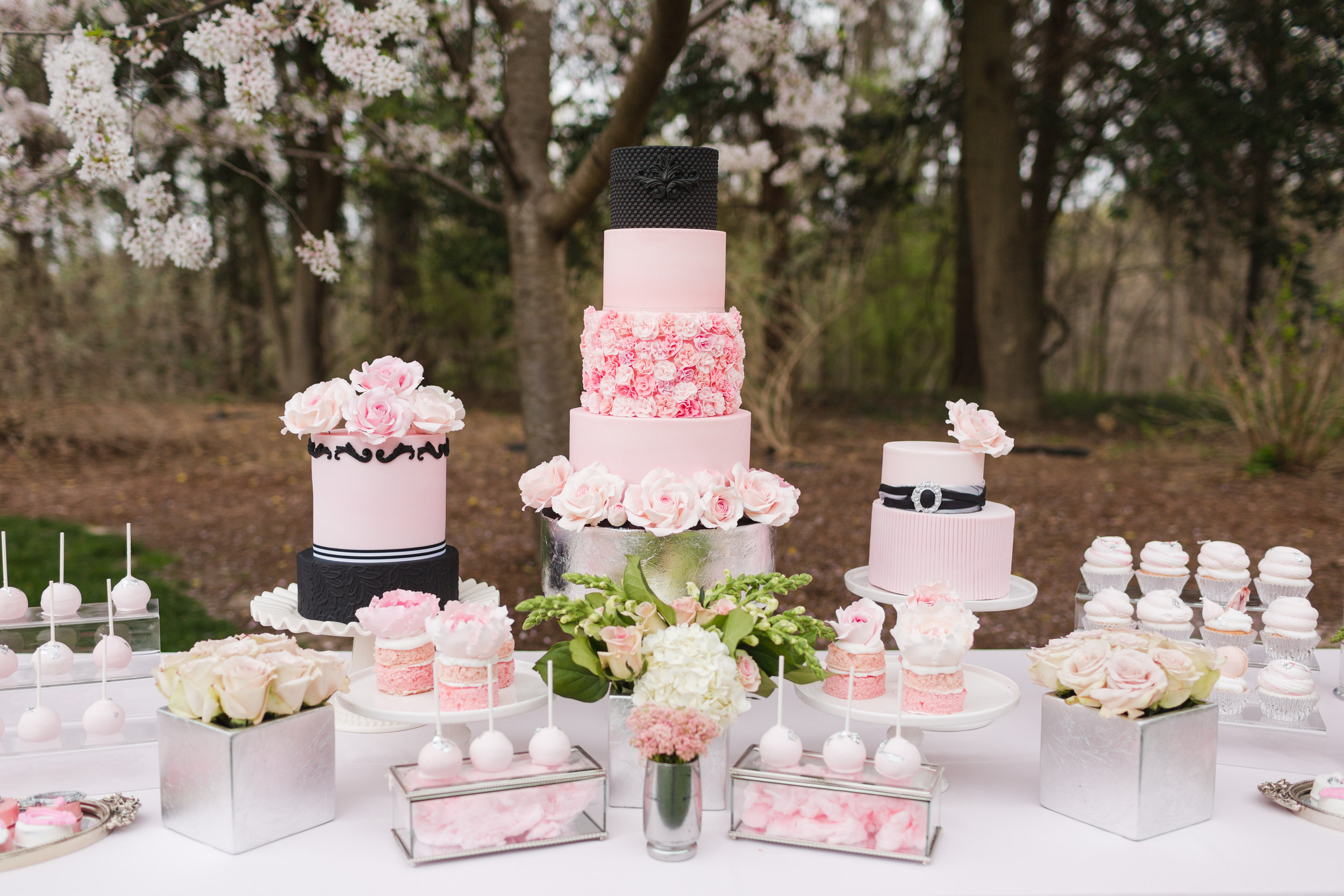 Cakes and Sweets-0106.jpg