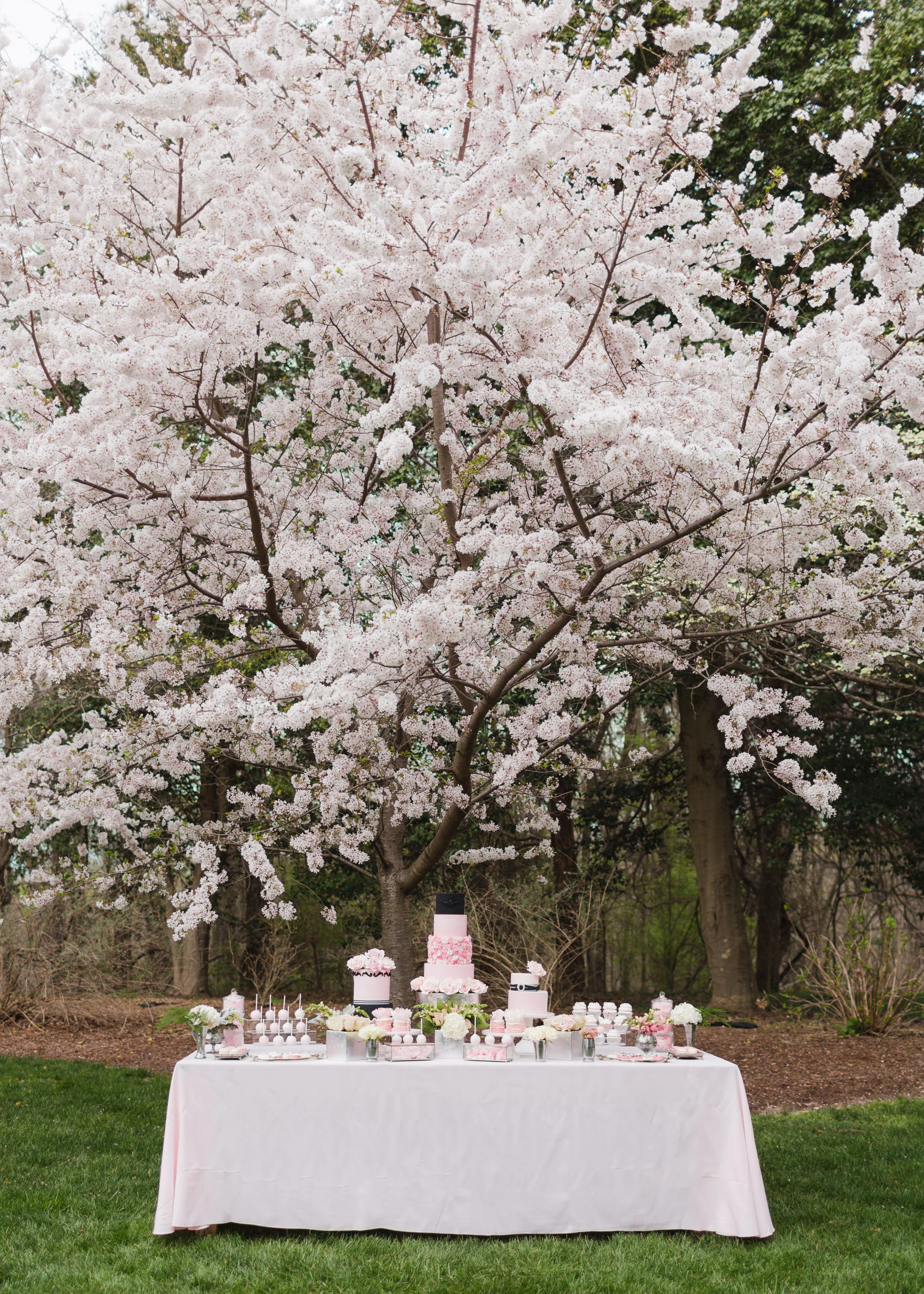 Cakes and Sweets-0134.jpg