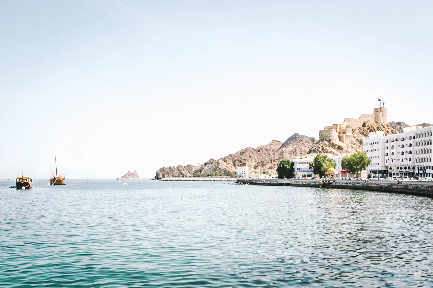 Muscat_Oman_c Nanna Dis_2016.jpg