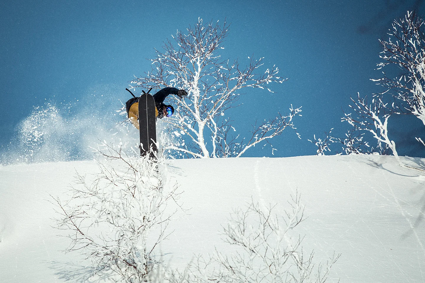 Furberg-Snowboard-Butter-Powder-Japan-Victor-Heim.jpg