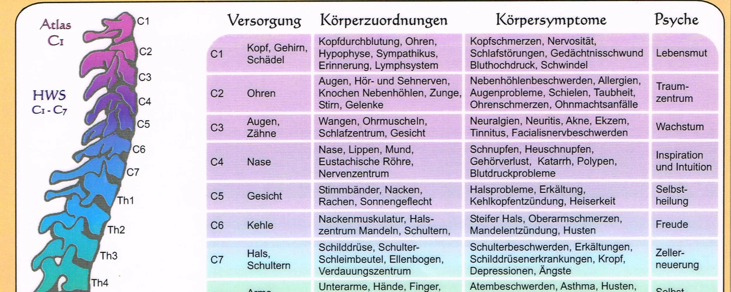 Wirbelsäulenaufrichtung.jpg