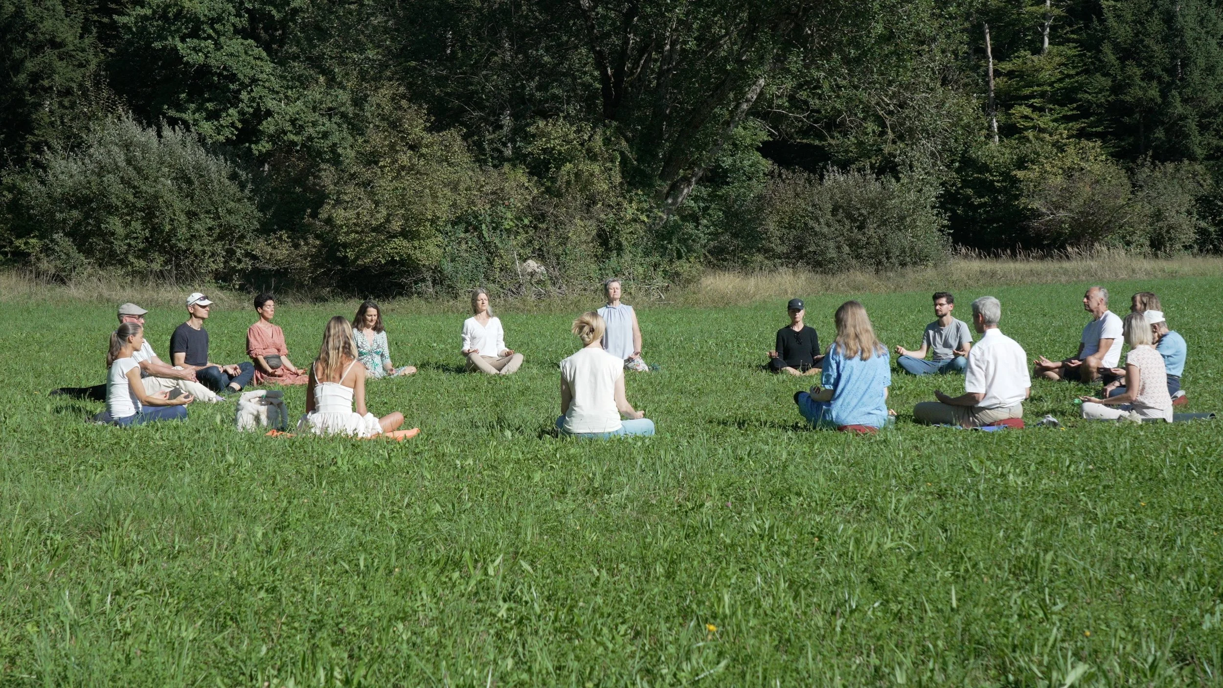 Basisseminar Pranic Healing mit Angelika Hunziker