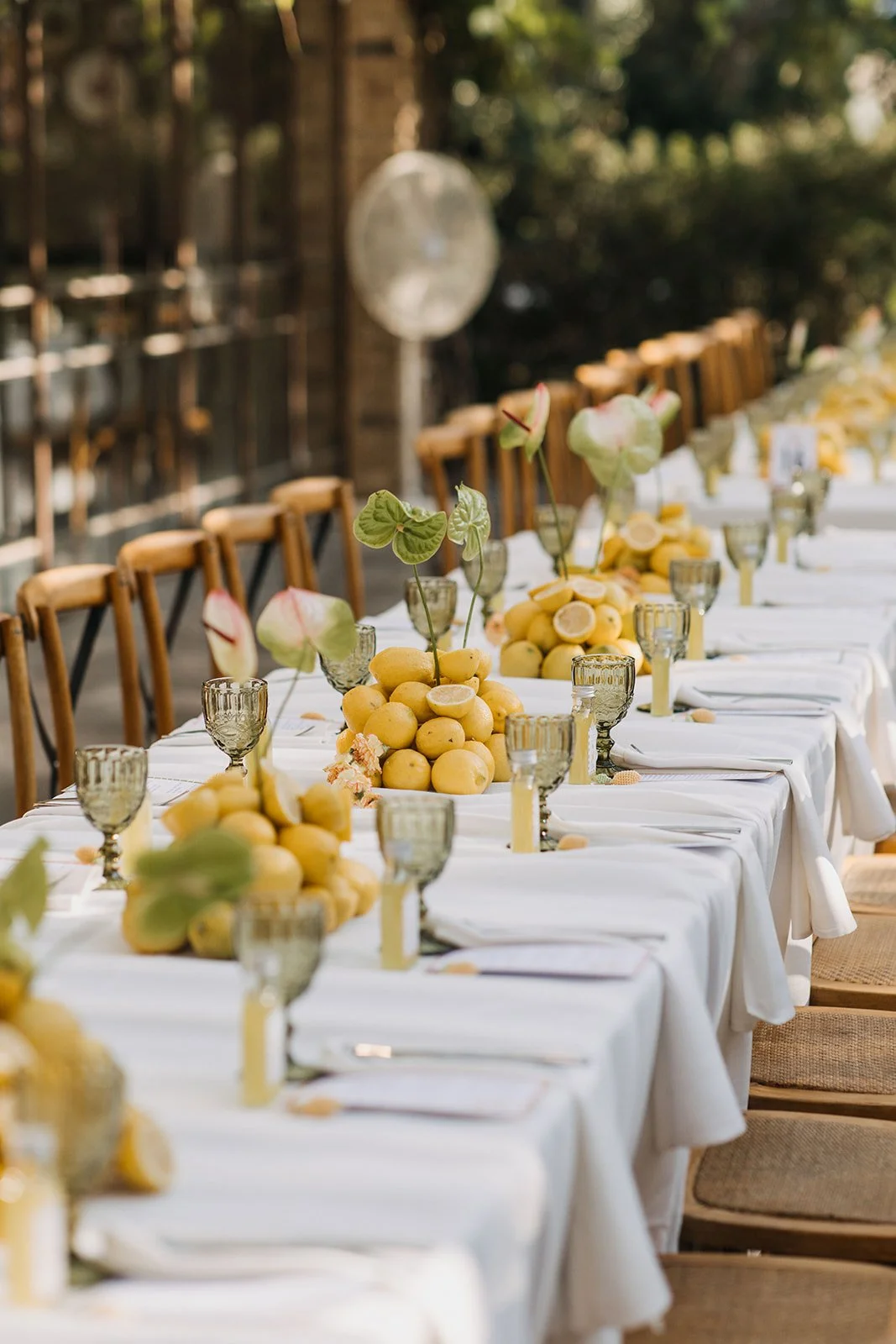 the venue024_websize.jpg