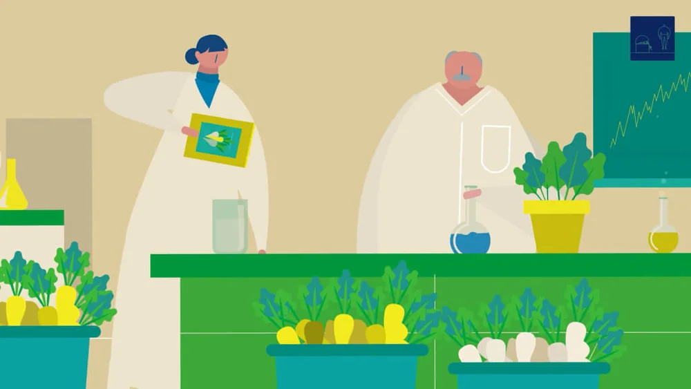 Rubizmo Infomercials