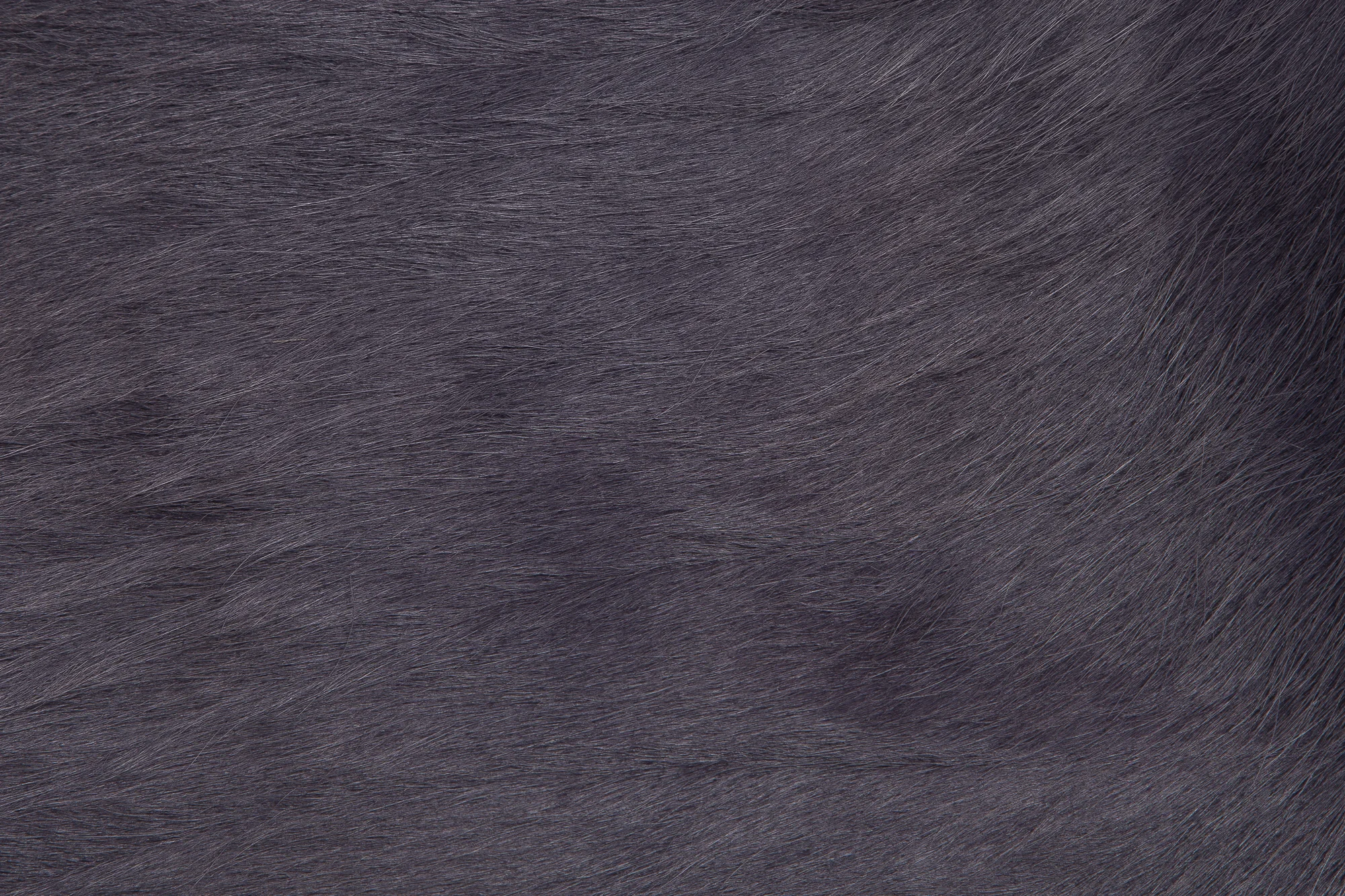Grey002.jpg