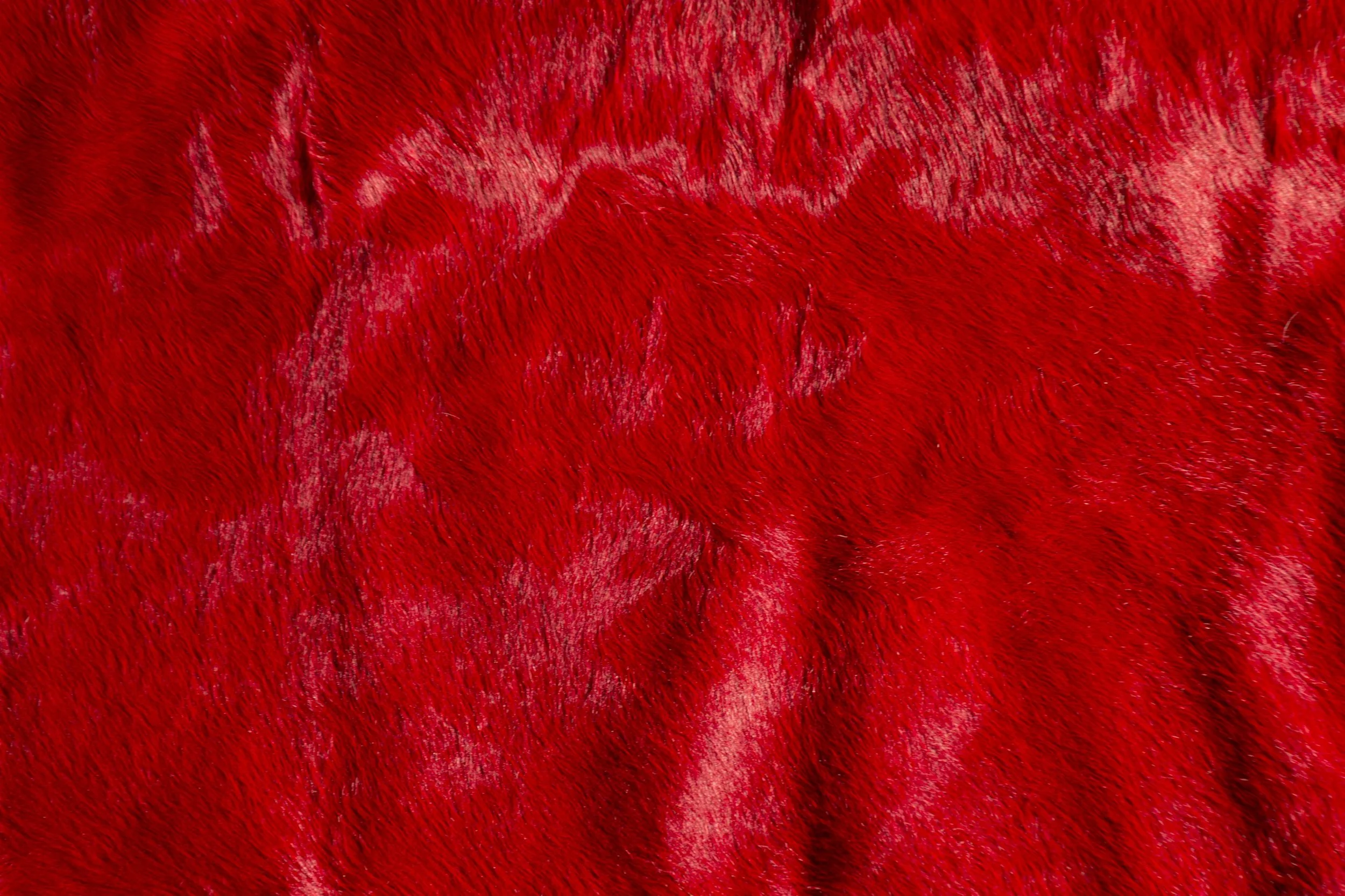 big-red-detail.jpeg