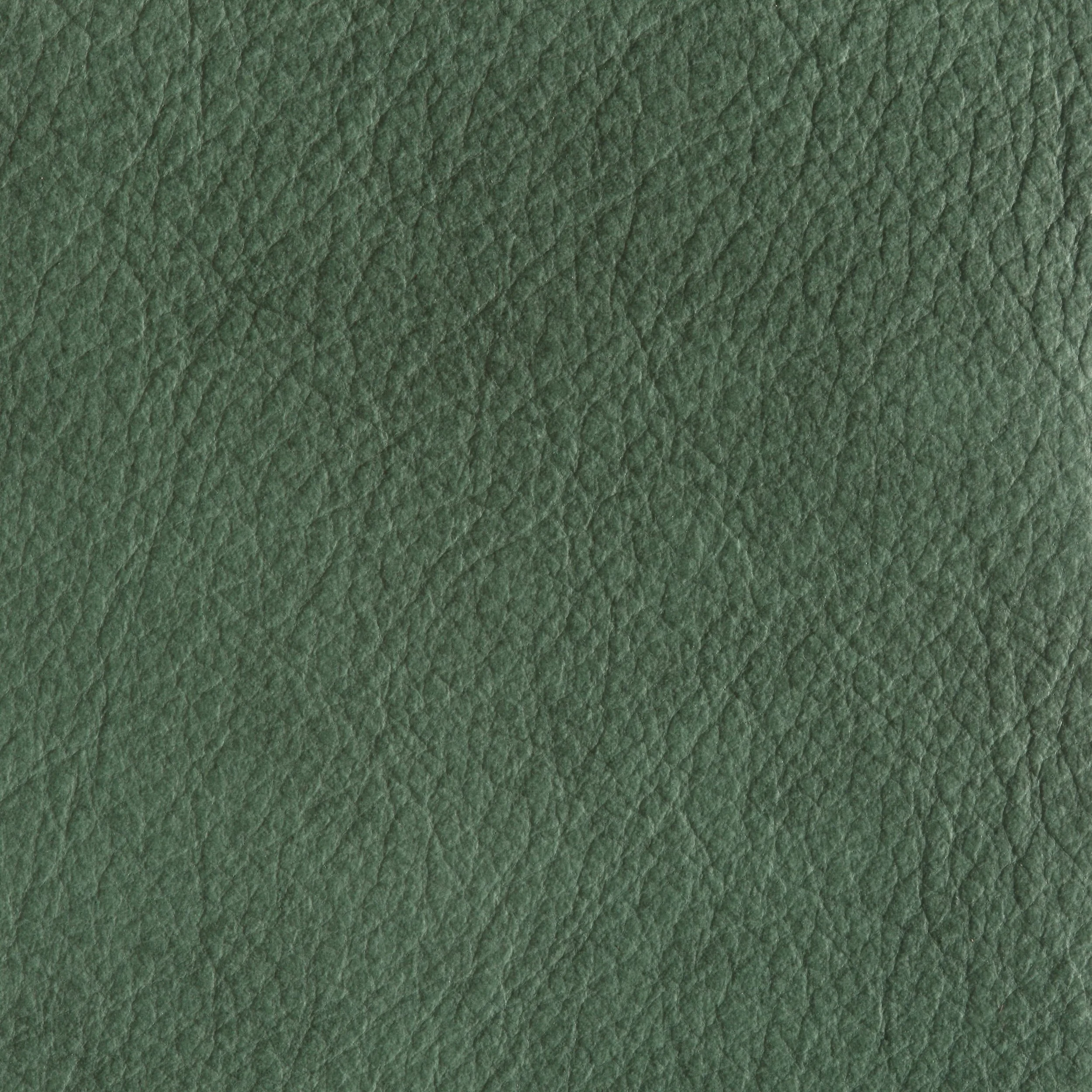CELADON