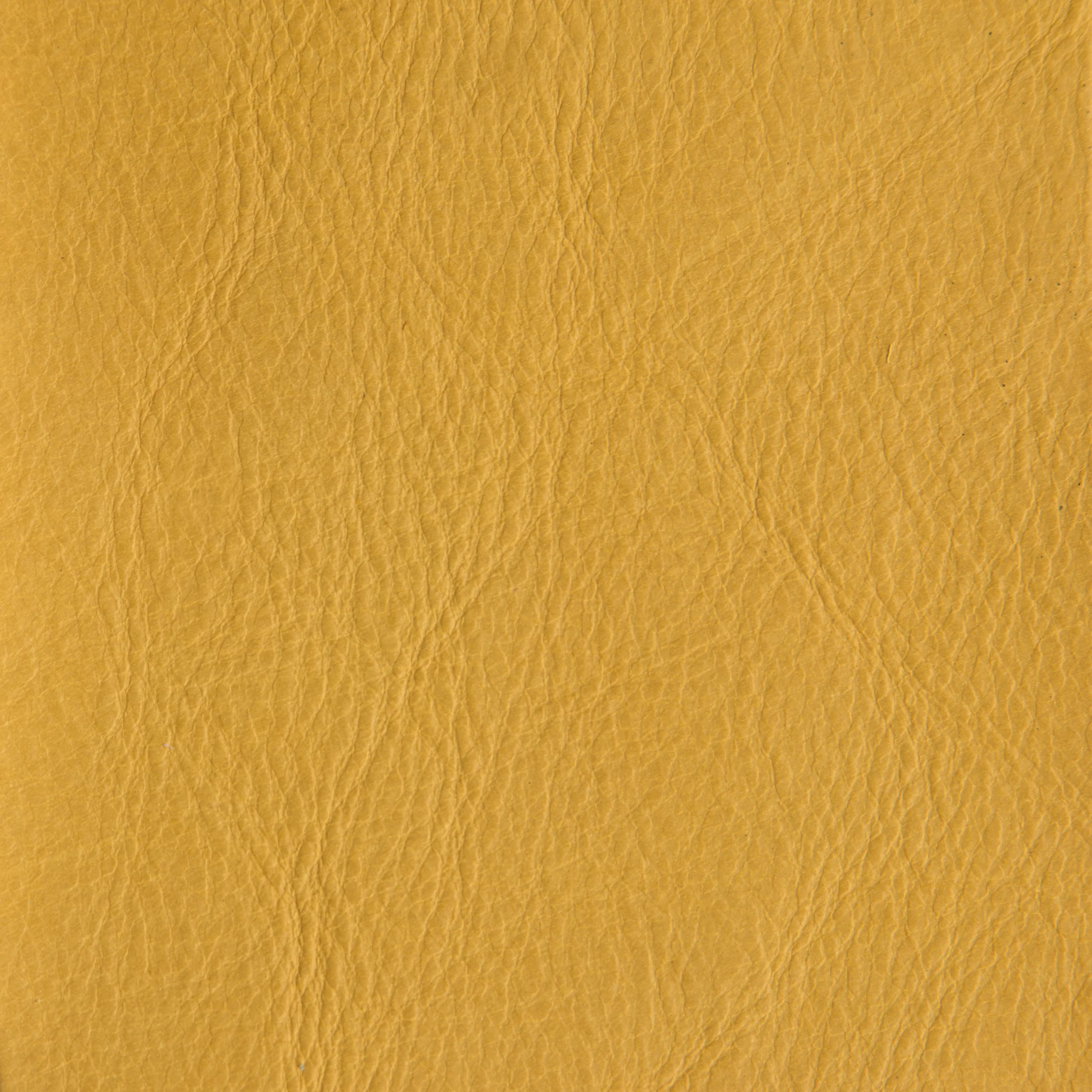 SUCCO DI LIMONE