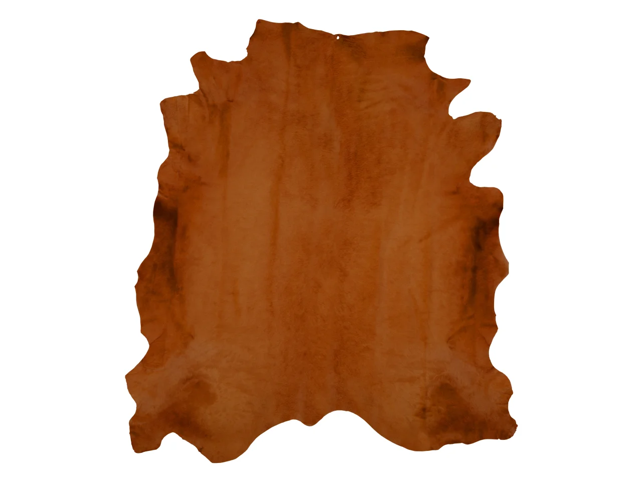 Aranciate.jpg