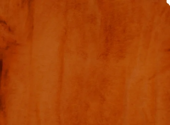 Aranciate.jpg