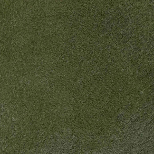 Avocado.jpg