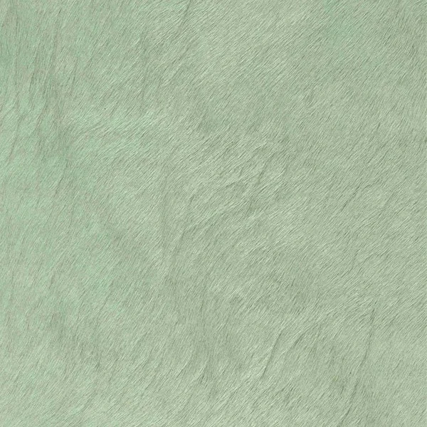 Aqua+Green.jpg