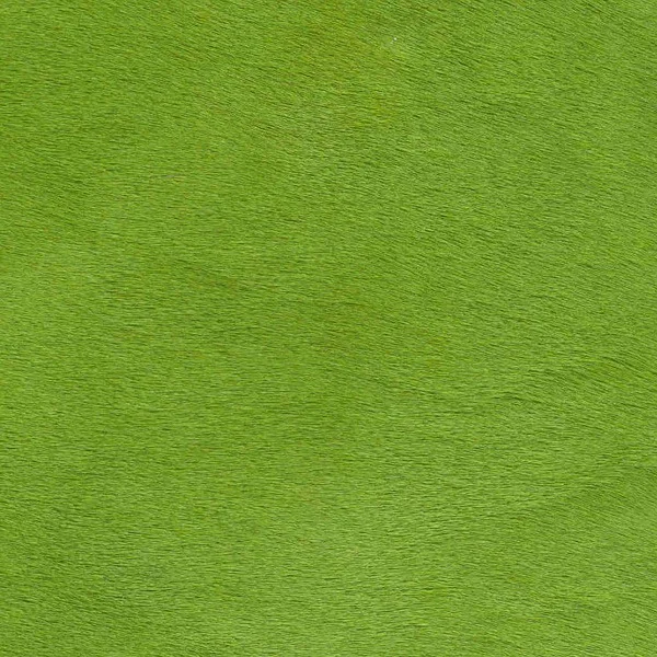Lime.jpg