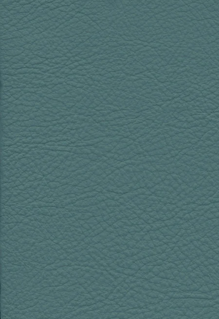 AQUA