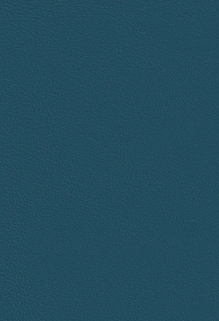 AZURE