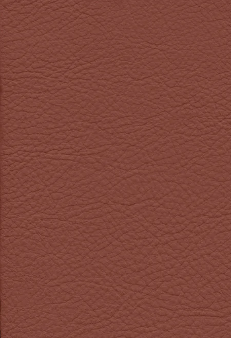 CLAY
