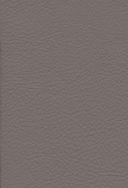 PUMICE
