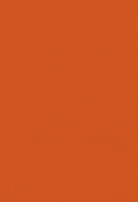 TANGERINE