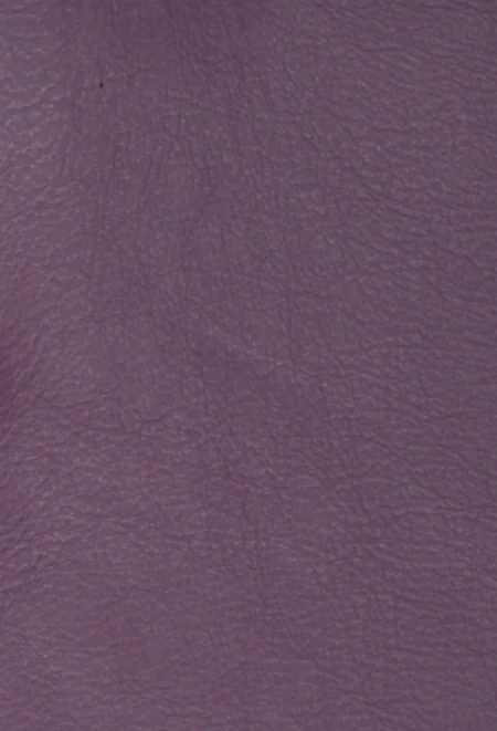 VIOLA